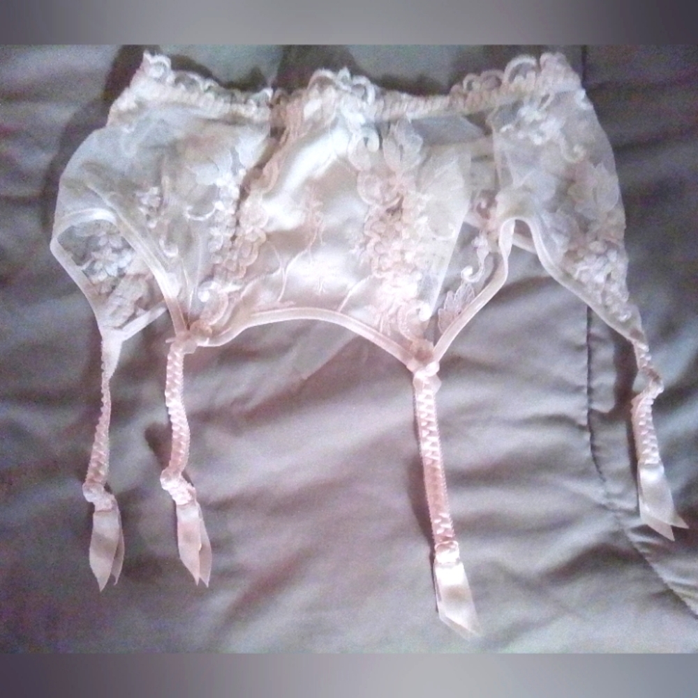Lite pink Lise Charmel garter belt